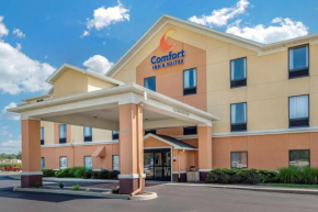 Comfort Inn & Suites Muncie